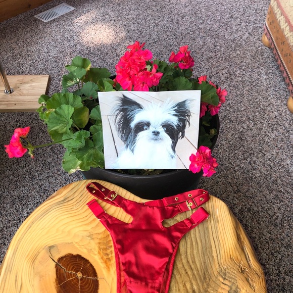 VS Very Sexy Brazilian Panties Size XSmall NWT - Picture 4 of 12